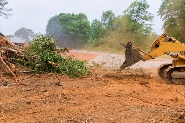 Forestry Mulching Service in Conroe
