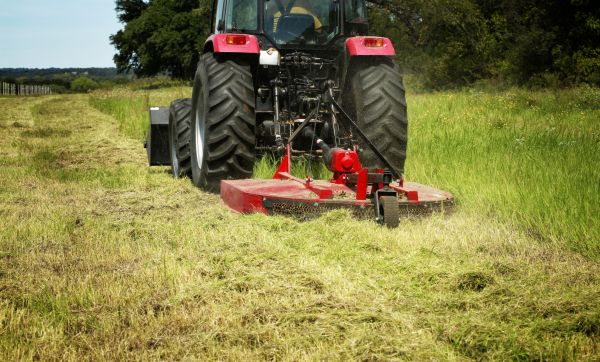 Brush Clearing Service in Conroe