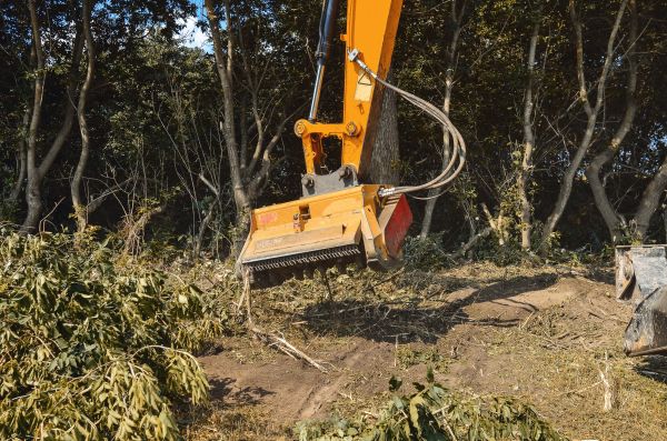 Brush Removal Service in Conroe