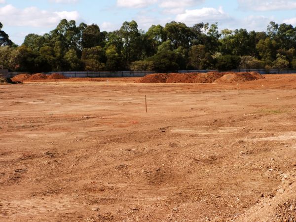 Cost of Field Clearing in Conroe