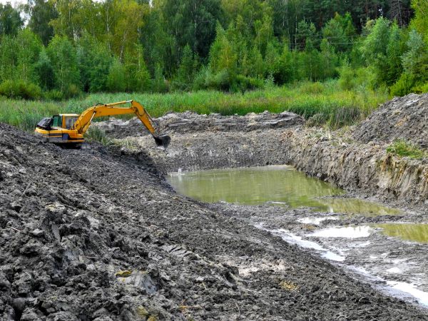 Cost of Lake Lot Clearing in Conroe