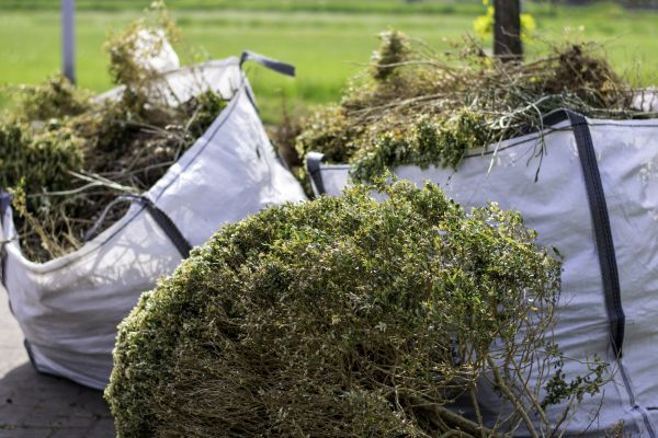 Bushes Clearing in Conroe