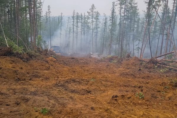 Cost of Hill Clearing in Conroe