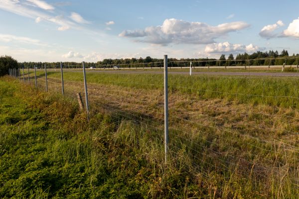 Cost of Property Line Clearing in Conroe