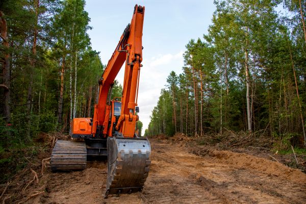 Cost of Backhoe Land Clearing in Conroe
