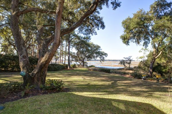 Cost of Lakefront Property Clearing in Conroe