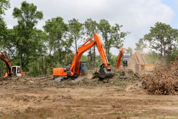 Cost of Commercial Lot Clearing in Conroe