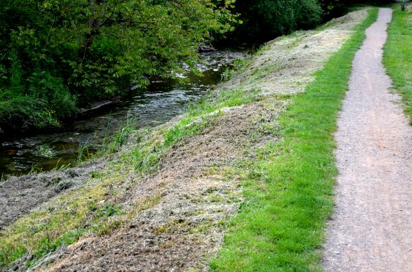 Cost of Trail Cutting in Conroe